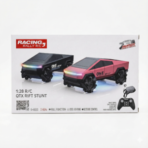 RC TESLA DUEL REMOTE CAR